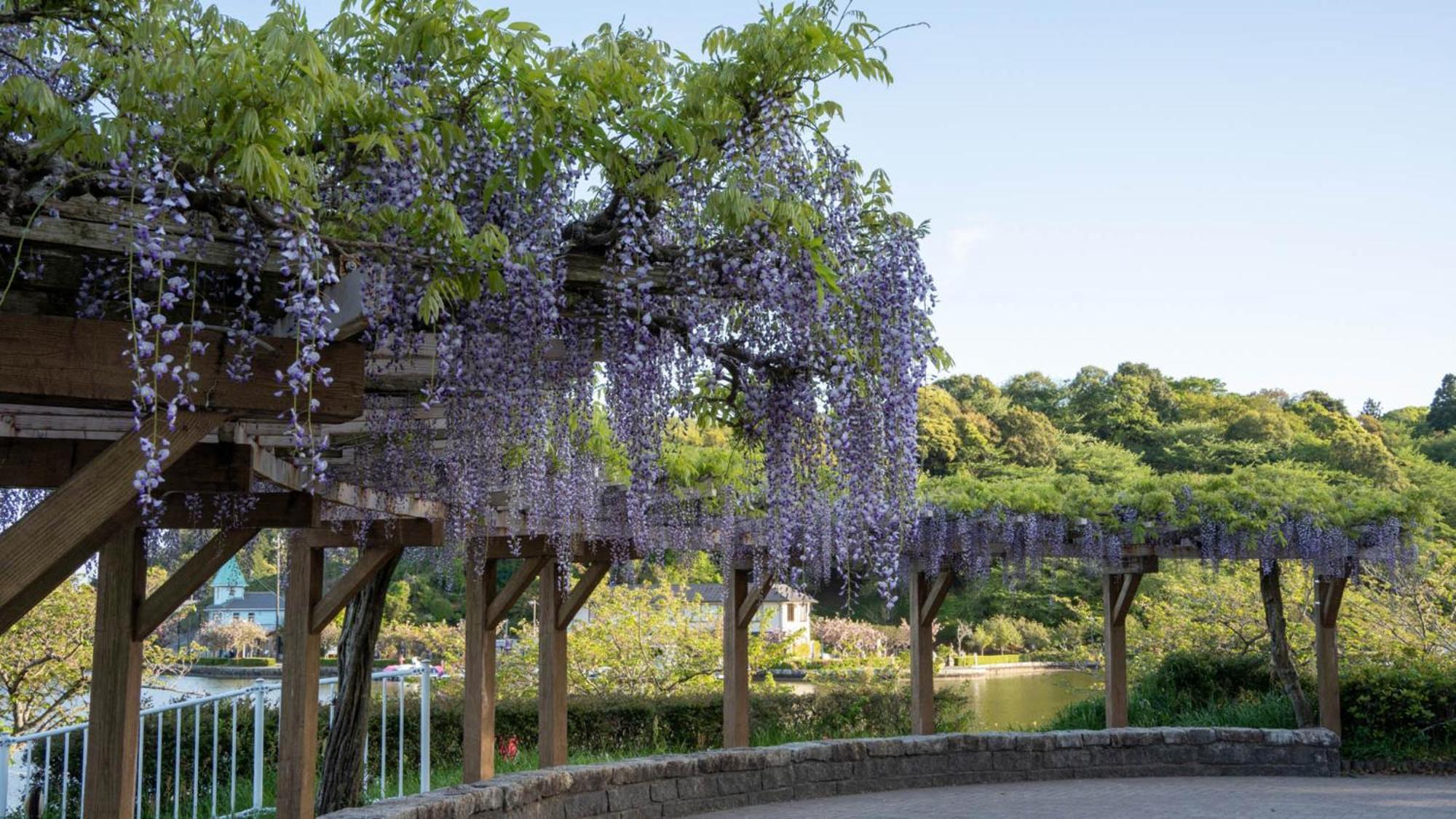 Toyoko Inn Shizuoka Fujieda Eki Kita Guchi Eksteriør bilde